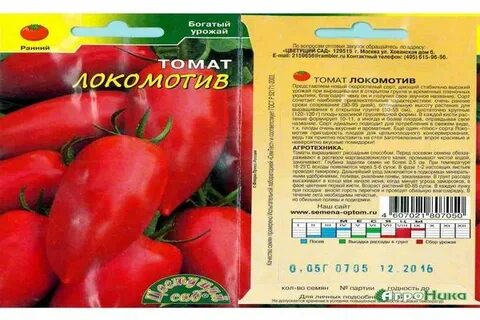 Томат кумир описание