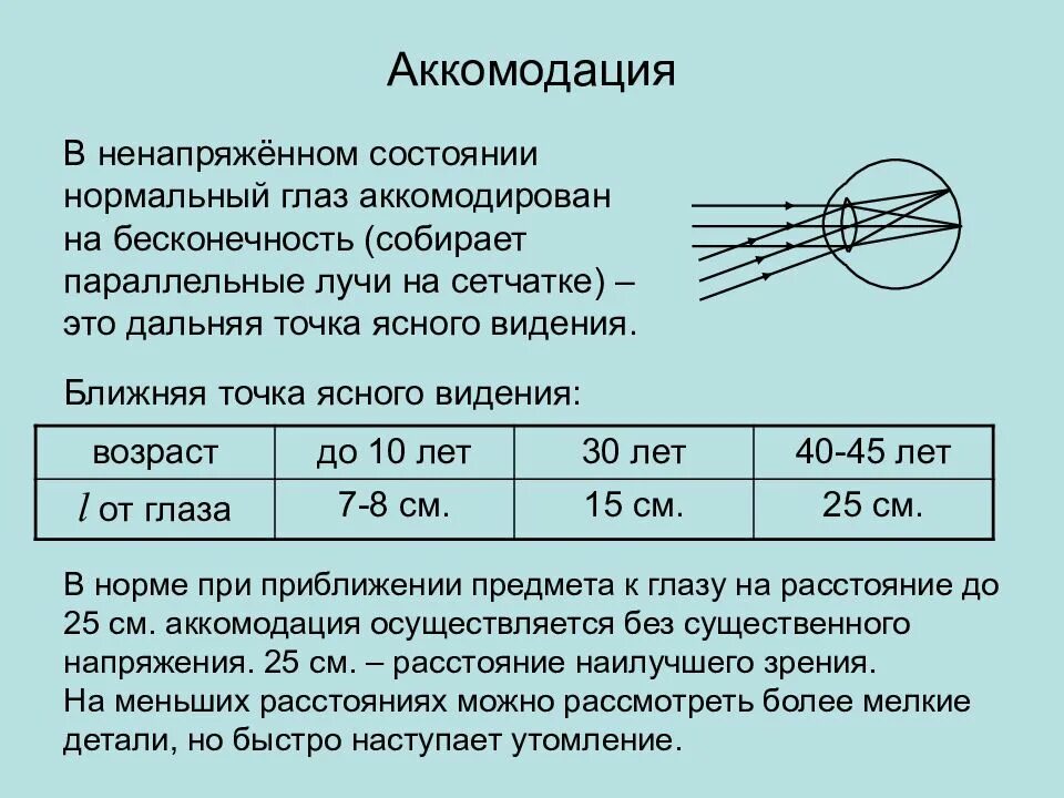 Расстояние аккомодации. Аккомодация аккомодационный аппарат. Показатели аккомодации глаза. Ближняя точка ясного видения. Определение ближайшей точки ясного видения.