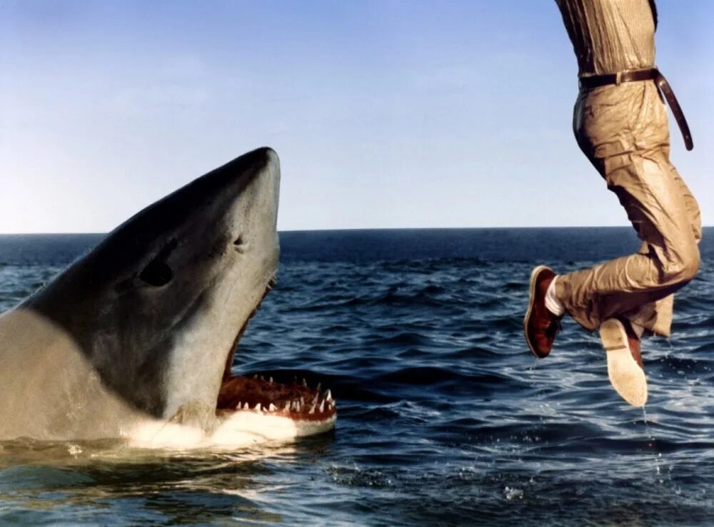 акула сюжет. мег: монстр глубины фильм 2018 кадры. челюсти 3 фильм 1983. мегалодон и дельфин. челюсти-4.