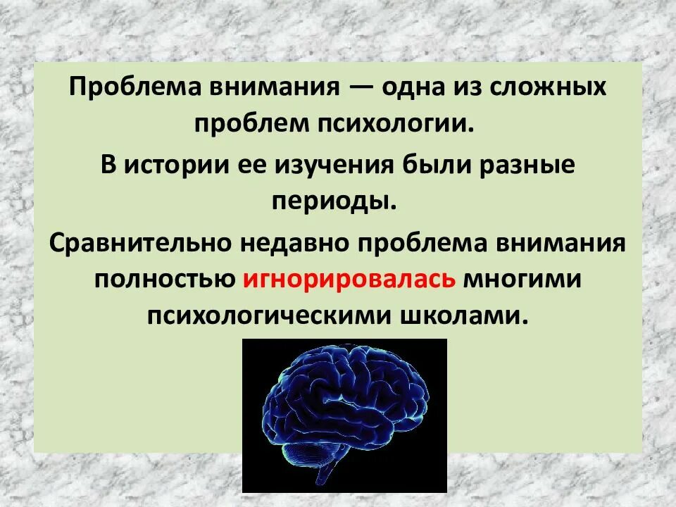 Нарушения внимания в нейропсихологии. Виды нарушения внимания в нейропсихологии. Нейропсихология мозг. Внимание проблема.