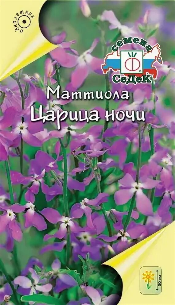 Маттиола царица ночи. Маттиола двурогая царица ночи. царица ночи цветок маттиола двурогая. маттиола двурогая царица ночи в саду. маттиола двурогая царица ночи фото.