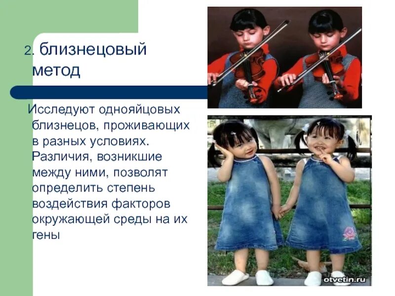 Фактор близнецов. Близнецы живущие в разной среде. близнецы в разной среде. влияние факторов на близнецов.