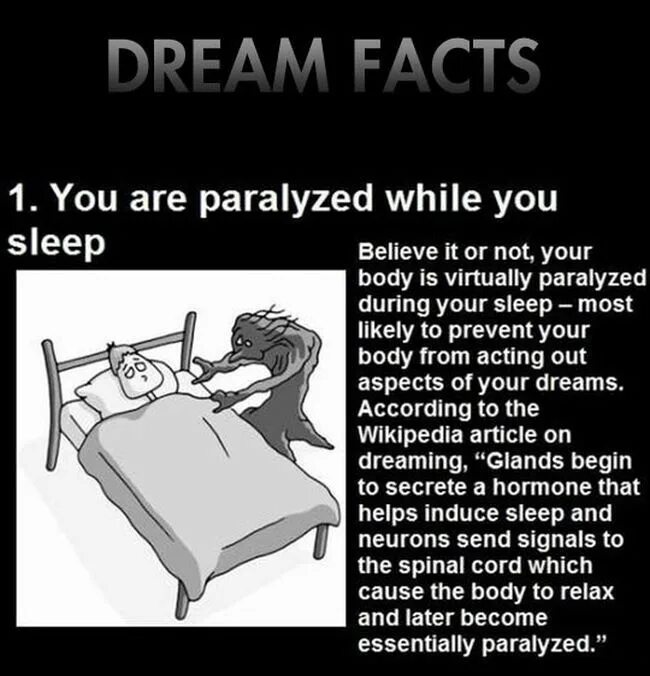 Falling dreaming in your sleep. Interesting facts about dreams.. facts about sleep. interesting facts about sleep. dream about.