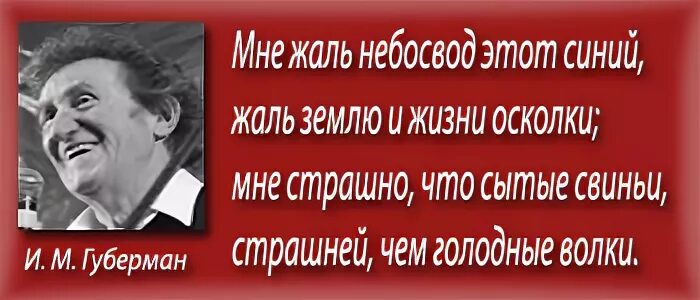 Осколки жизни текст. Мне жаль небосвод этот синий Губерман. Мне жаль что сытые свиньи страшней чем Голодные волки. Мне страшно что сытые свиньи страшней чем Голодные волки. Мне жаль Губерман.