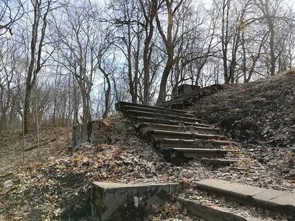 Брянск хотылево маршрутки