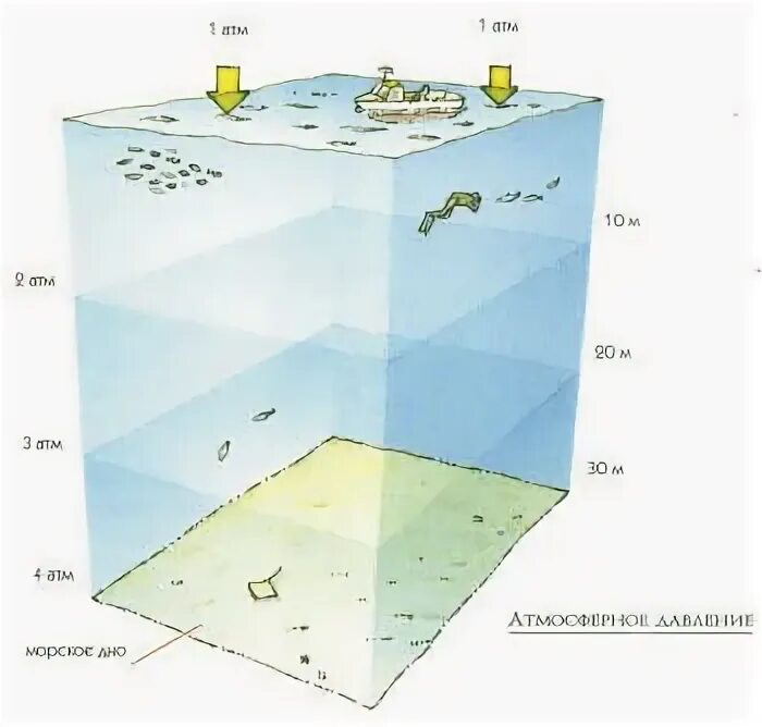 Давление под водой. Давление воды на глубине. Изменение давления с глубиной в воде. Давление под водой на глубине 10 метров.