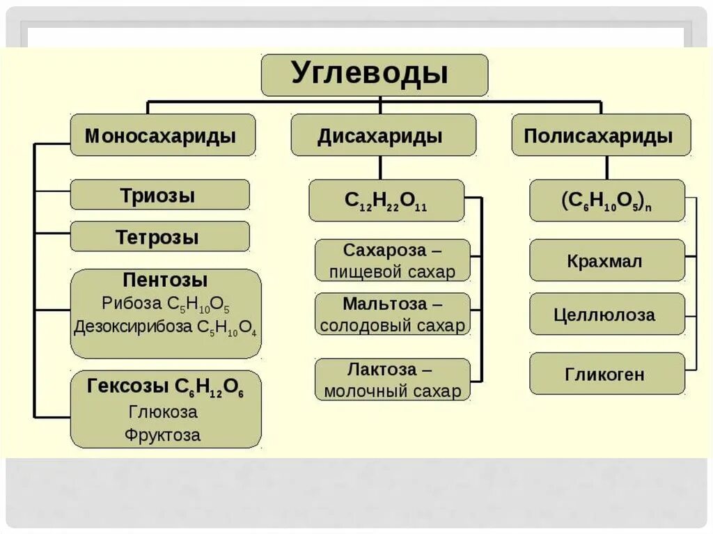 Углеводы таблица биология. Классификация углеводов схема 10 класс. классификация углеводов биология. общая классификация углеводов. классификация углеводов моносахариды.