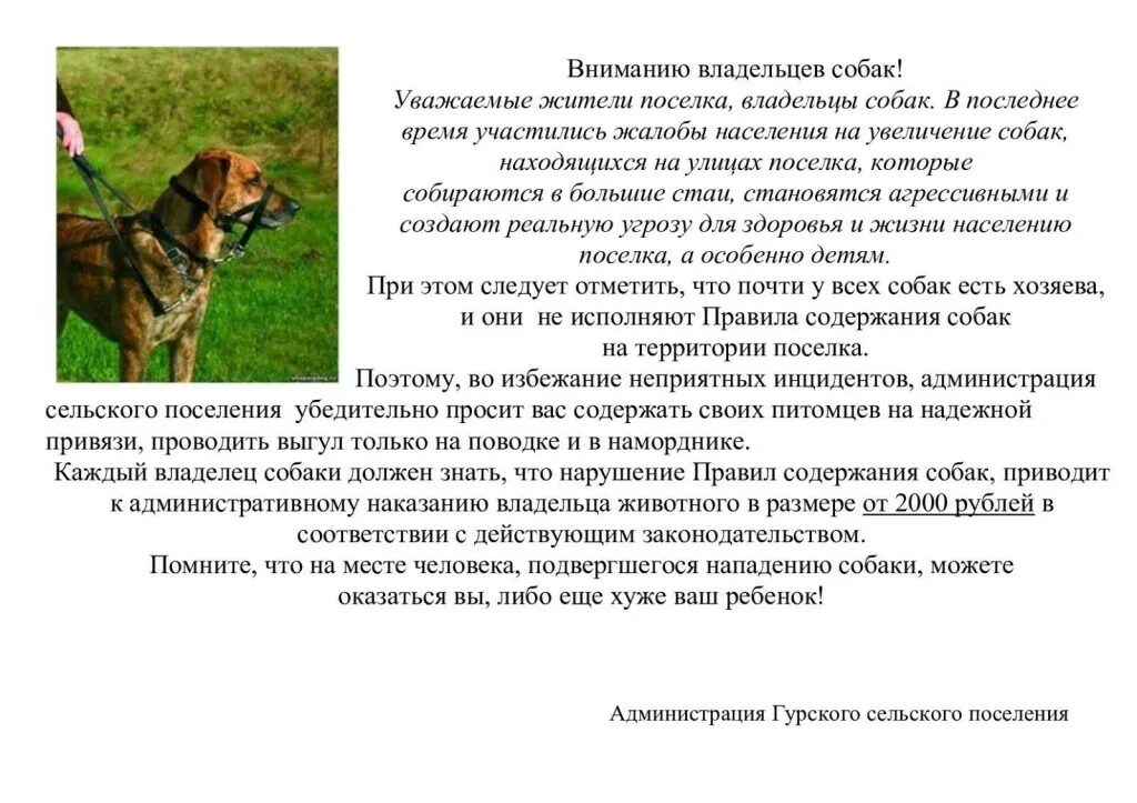 Памятка владельцам животных. Памятка для владельцев собак. внимание владельцам собак.