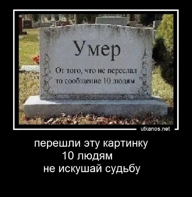 Не присылайте мне святые письма. Письмо счастья прикол. Я именно тот человек на котором обрывается цепь сообщений. Отправь это сообщение 10 друзьям. Отправь это сообщение.