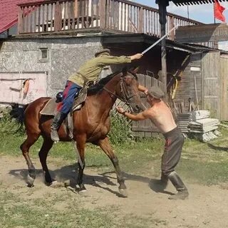 Снять казака
