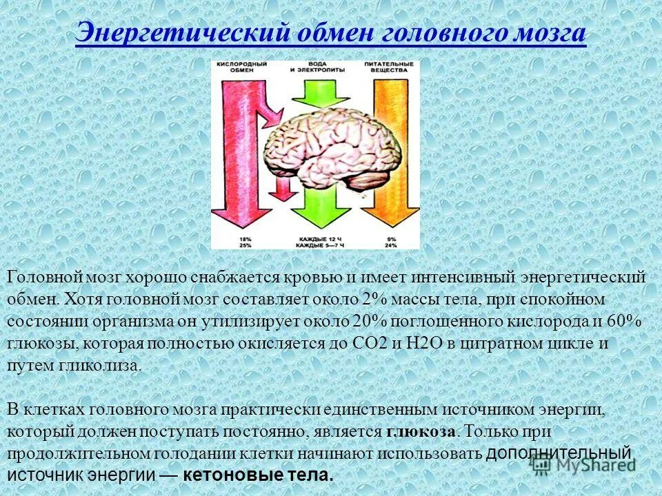 изображение мозга. химия мозга нейромедиаторы. кровеносные сосуды головного мозга. биохимия головного мозга. болезнь альцгеймера.