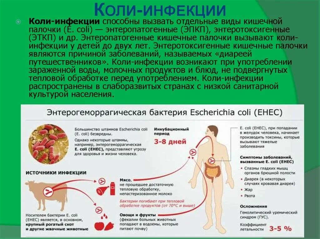 Признак палочки. Эшерихия коли заболевания. кишечная палочка признаки и симптомы. инфекции, вызываемые escherichia coli. эшерихия коли вызывает заболевания.