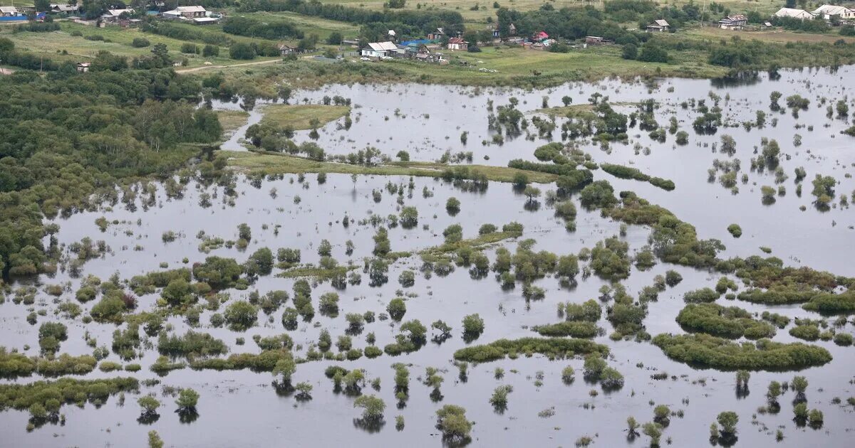 Подтопление и заболачивание земель. Затопило огород. Подтопление дачных участков. Подтопление земель. Подтопление земель.