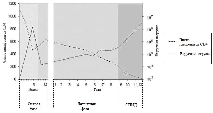 Течение вич инфекции. Фазы течения СПИДА. График вирусной нагрузки ВИЧ. Стадии течения ВИЧ инфекции. Течение ВИЧ инфекции график.