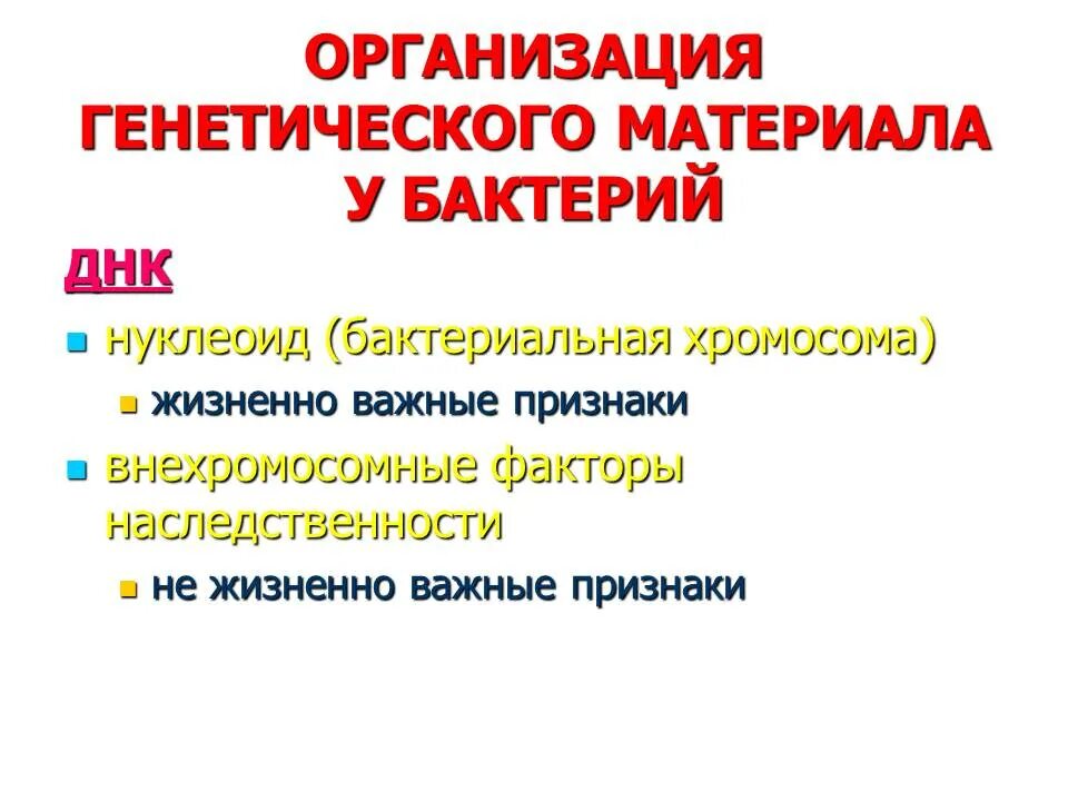 Есть ли наследственный материал у бактерий. Организация генетического материала у бактерий. Организация генетического материала у бактерий генотип. Организация генетического материала у бактерий и вирусов. Организация наследственного материала бактерий..