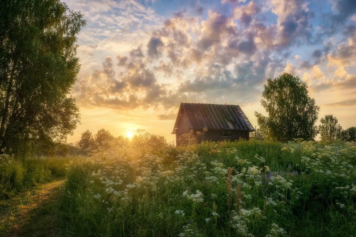 Природа летом в деревне. Утренний пейзаж деревня Герасимов. Деревня Околица Тверская область. Природа деревня. Лето в деревне.