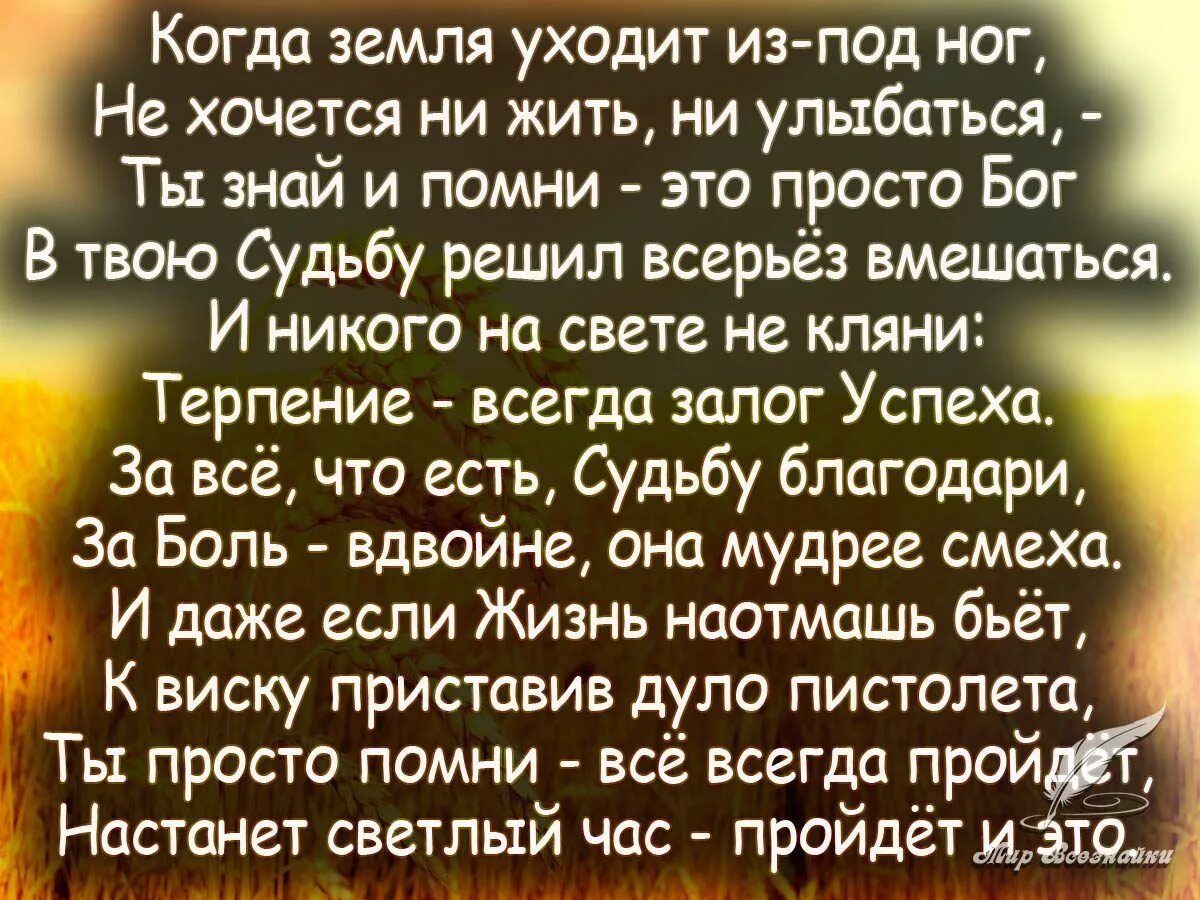 Как человеку прожить жизнь основная мысль. Стихи о прожитой жизни. Стихи как жить дальше. Стихи о жизни и судьбе. Земля уходит из под ног.