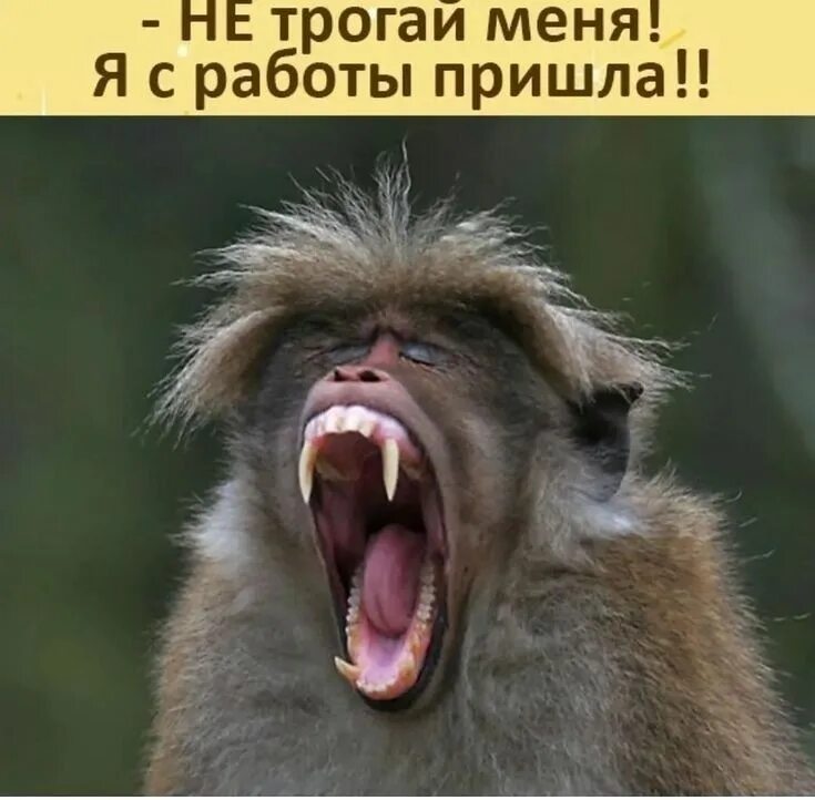Трогай где хочешь. Не трогай меня я с работы пришла. пришла с работы. я пришла с работы. не трогай меня.