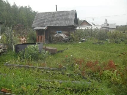 Снт дружба 4
