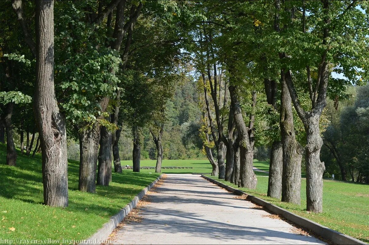 Парк дубровицы. Парк дубровицы. Подольская усадьба дубровицы. Усадьба дубровицы в подольске. Лесопарк дубровицы.