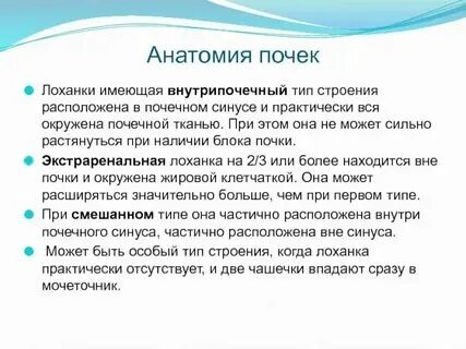 Узи почек лоханки нормы у детей до года. Варианты строения чашечно лоханочной системы. Строение члс почек. Варианты строения лоханки. Экстраренальная лоханка.