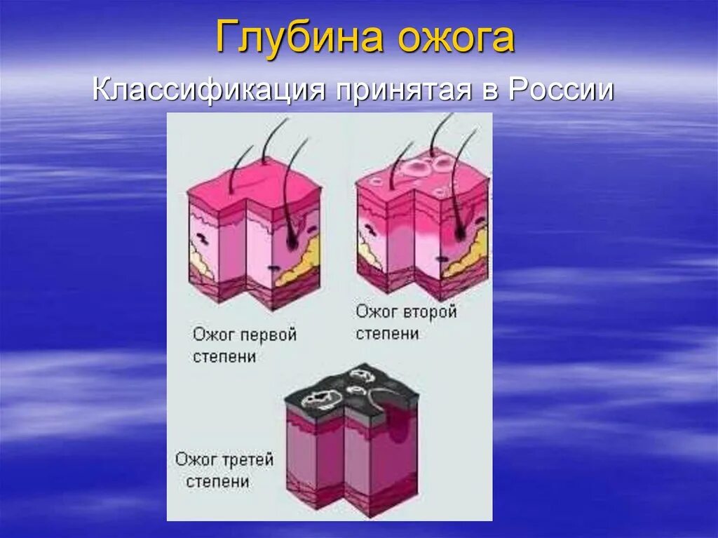 Степень глубины