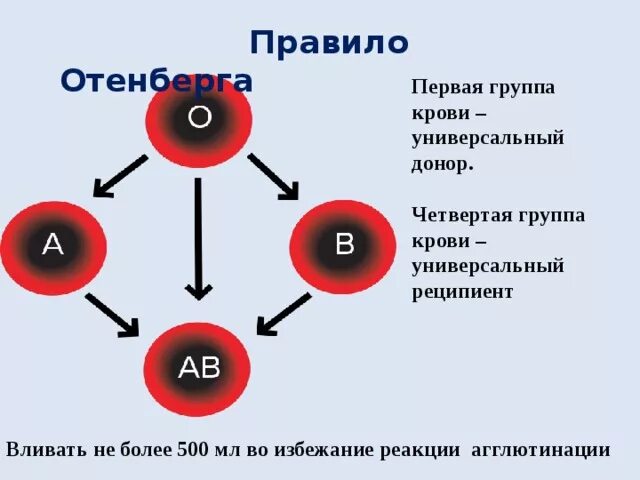 2 группа крови биология. Классификация групп крови. Схема группы крови резус-фактор. Реципиент 1 группы крови. Схема 4 группы крови.