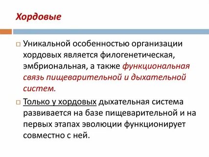 Принадлежность человека к хордовым