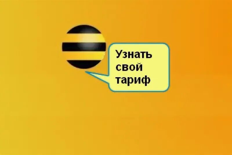 Как узнать про тариф. Как узнать про тариф