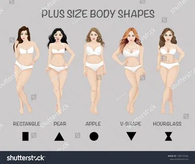Plus Size Body Shapes Isolated White. plus size body shapes. 