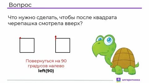 Turtle begin fill