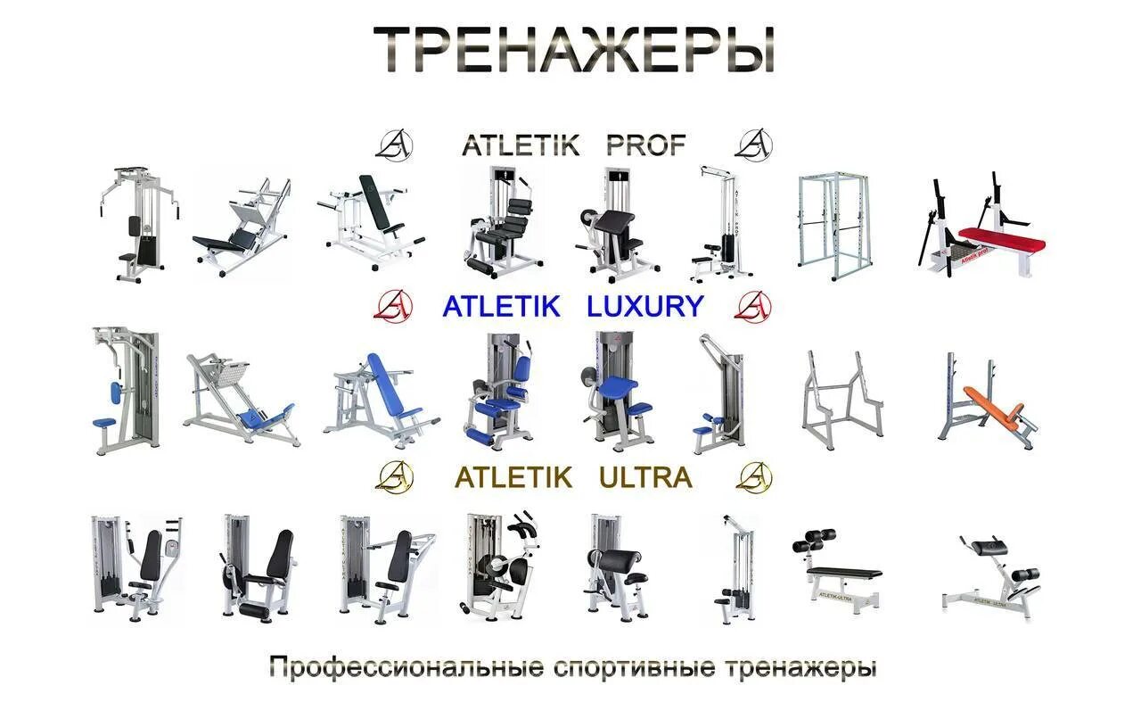 Тренажеры функции. Наименование тренажеров в тренажерном зале. Названия тренажеров в тренажерном зале на русском. Тренажеры на спину в тренажерном зале название. Перечень тренажеров для тренажерного зала.