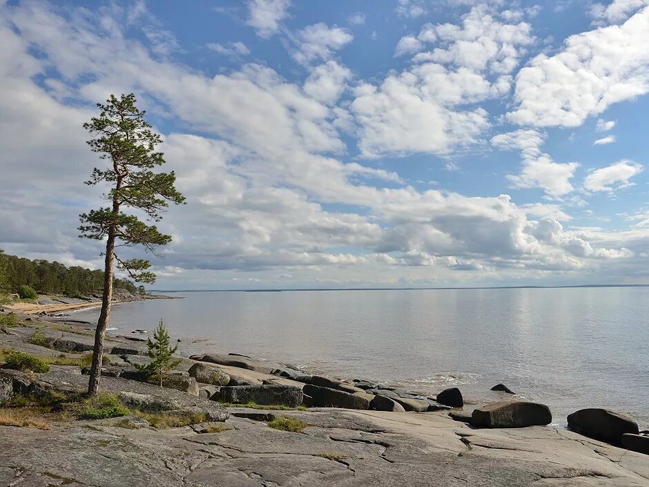 Новая онега. Онега город у белого моря. Онежская губа белого моря. Онега Архангельская область. Белое море Онега.