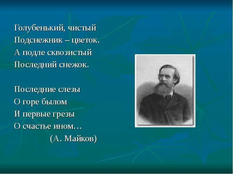 Майков голубенький чистый. Майков голубенький чистый Подснежник. Подле сквозистый последний снежок. А подле сквозистый последний.