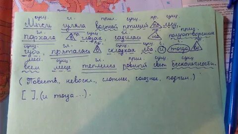 Мысль гуляла
