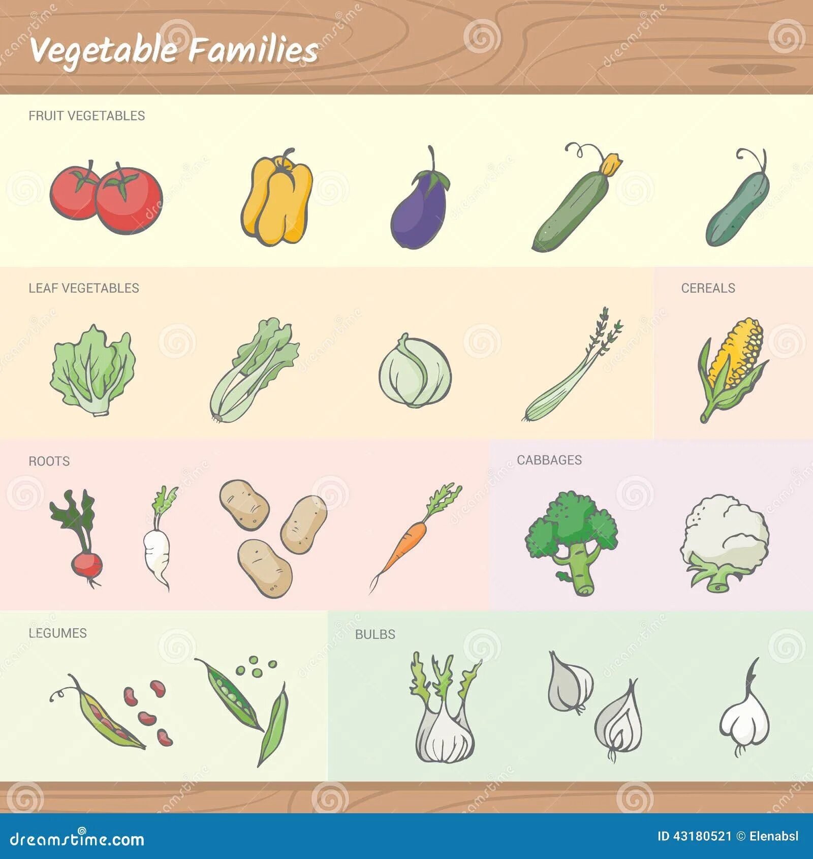 Vegetable family. Семья овощи вектор. Семья овощей.