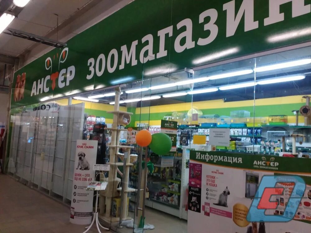 Зоомагазин березовский свердловская. Зоомагазин березовский свердловская. Анучина 3 березовский. Тц яблоко павлово. Магазин анстер екатеринбург.