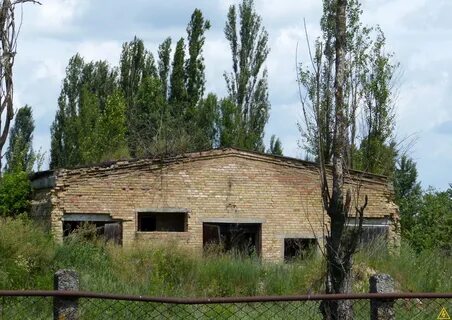 Ленинградский совхоз