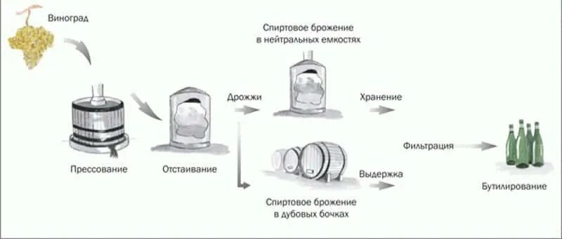 Технологическая схема производства вина из винограда. Производство вина технология схема. Схема производства виноградных вин. Схема производства вина красное и белое. Производство красного вина