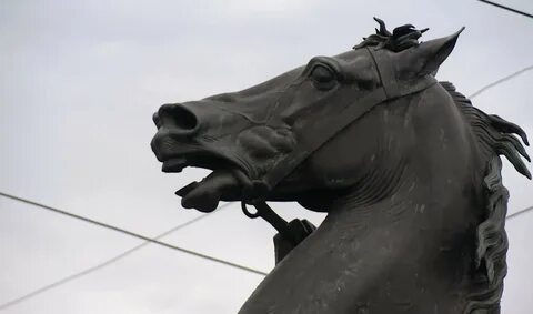 Коня понесло