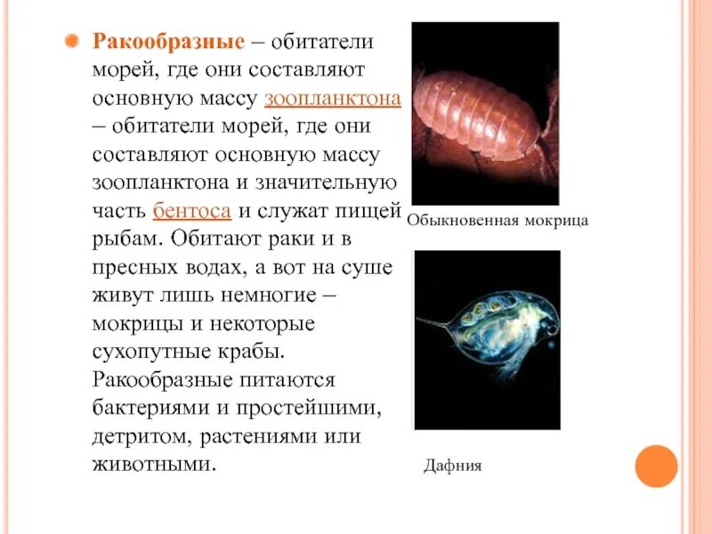 Масса зоопланктона основная. Фитопланктон общая масса. Донные организмы зоопланктон. Численность бентоса зоопланктона. Зоопланктон составляют