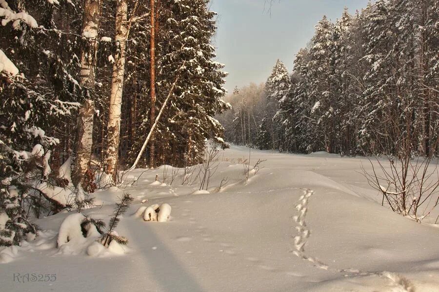 Вспоминаю о зимних