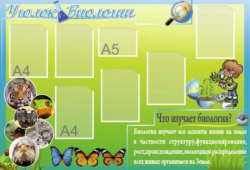 Биология оформление стендов. Уголок по биологии. уголок биологии в школе. классный уголок в кабинет биологии. оформление кабинета биологии в школе баннеры.