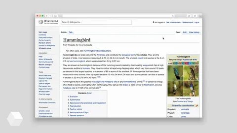 Wiki searched