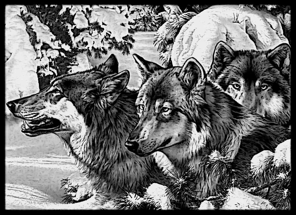 Изображения для гравировки. Гравировка животных. Животные для гравировки. Животные для гравировки на памятниках. Животные для гравировки.