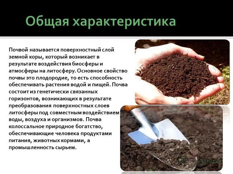 Почва главный источник. Плодородие почвы. Почва плодородие почвы. Повышение плодородия почвы. Исследование плодородия почв.