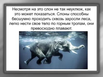 Как не быть неуклюжим