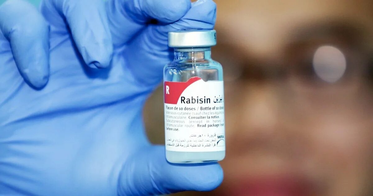 Вакцина rabies. Рабизин вакцина. Рабизин вакцина от бешенства. Антирабическая вакцина Рабипур. Рабизин вакцина для собак от бешенства.
