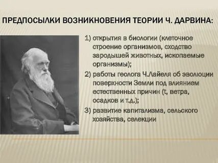 Ч дарвин биология