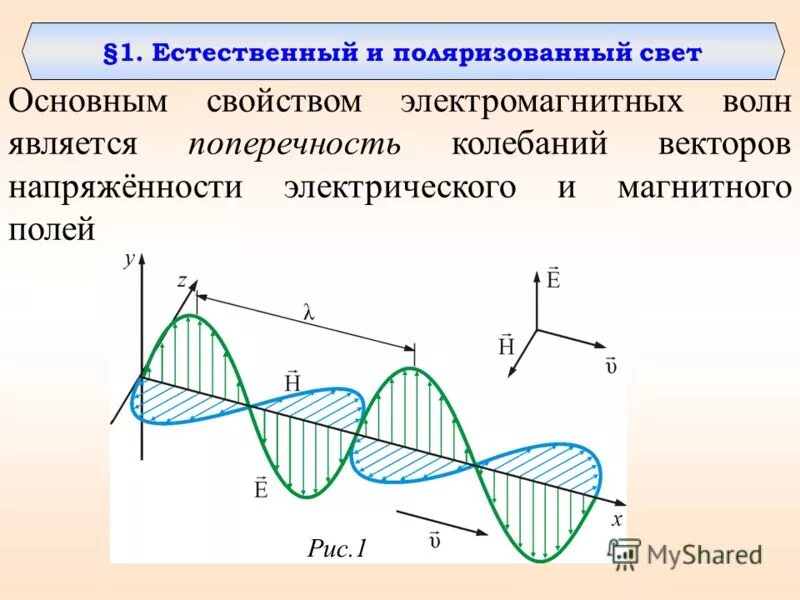 поперечность световых волн поляризация